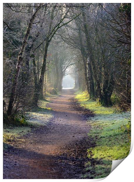 Spooky/misty disused railway line in autumn Print by Andrew Heaps