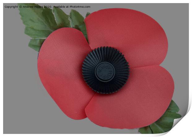 A single poppy a symbol of remembrance .  Print by Andrew Heaps