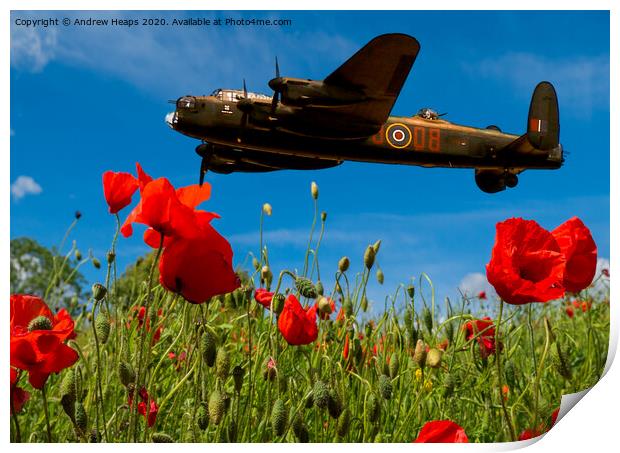 Avro Lancaster bomber poppies Print by Andrew Heaps