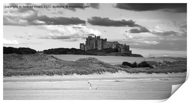 Bamburgh Castle in Northumberland. Print by Andrew Heaps