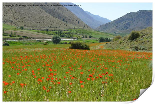 Outdoor field Print by Ali asghar Mazinanian