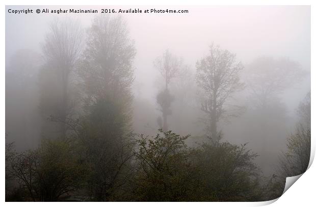 A fogy misty day in jungle, Print by Ali asghar Mazinanian