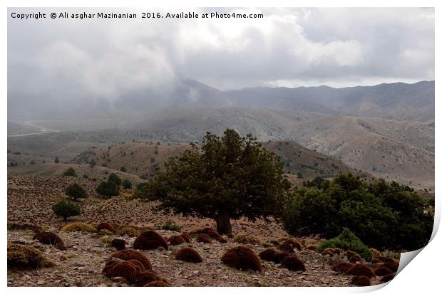 A cloudy day in jungle, Print by Ali asghar Mazinanian