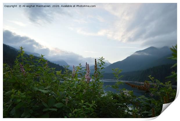 A very nice place Taken at Cleveland Dam,Vancouver Print by Ali asghar Mazinanian