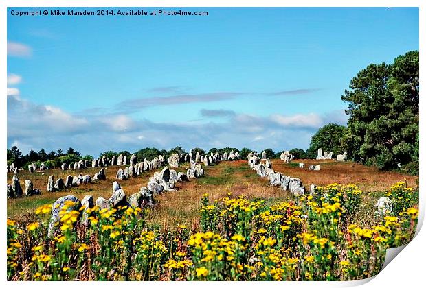 Avenue of the Ancients Print by Mike Marsden