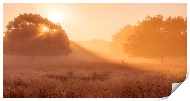 Deer in the mist!  Print by Inguna Plume