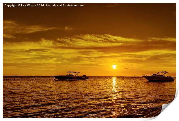  Ocean Dreams Print by Lee Wilson