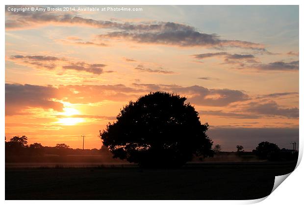  Sunset at Stebbing Print by Amy Brooks