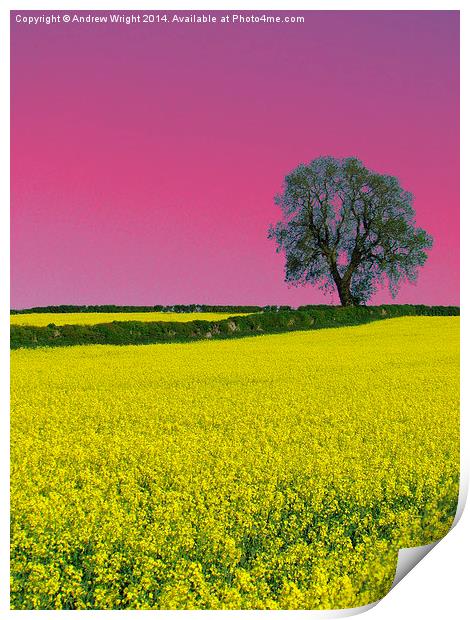 Portrait Of An Oak Tree ( Pink Version ) Print by Andrew Wright