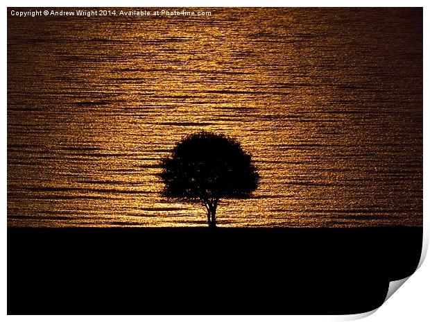  Golden Sunrise Print by Andrew Wright