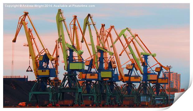 Dayglow Cranes Print by Andrew Wright