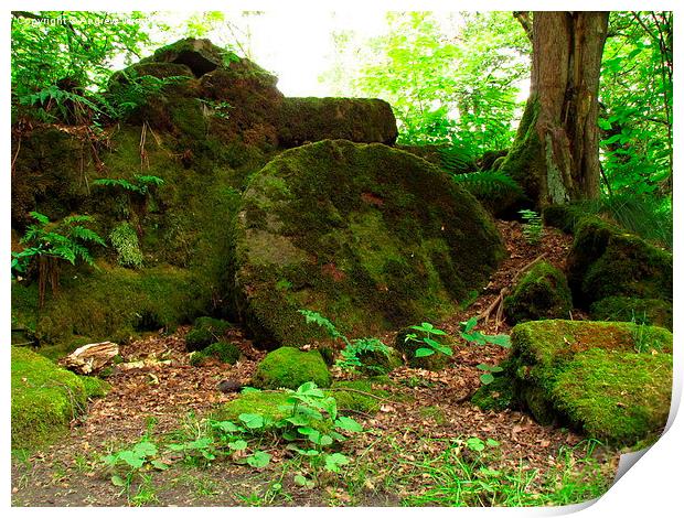  Woodland Millstone Print by Andrew Wright