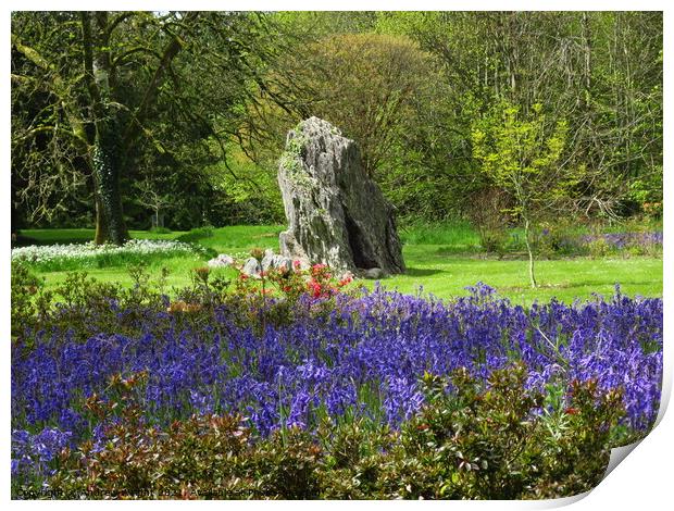 Blarney Castle Gardens Print by Andrew Wright