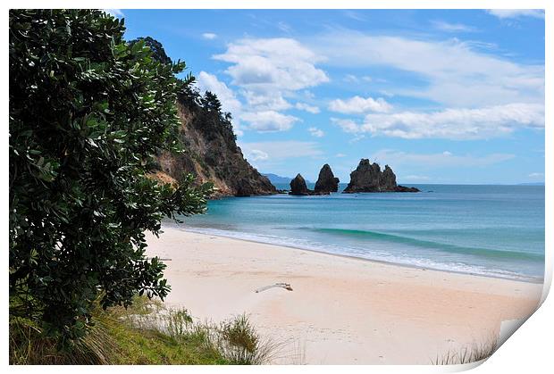  Pacific Coast, New Zealand Print by Simon Hackett