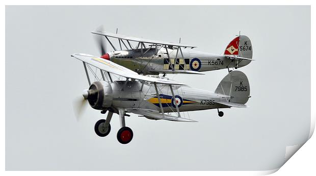  Sea fury and gloster gladiator  Print by Andy Stringer