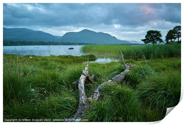 Killarney lakes Print by William Duggan