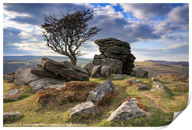 Evening light (Emsworthy Rocks, Saddle Tor)  Print by Andrew Ray