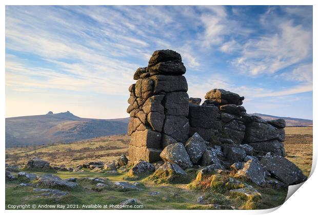 Morning at Hound Tor (Dartmoor) Print by Andrew Ray