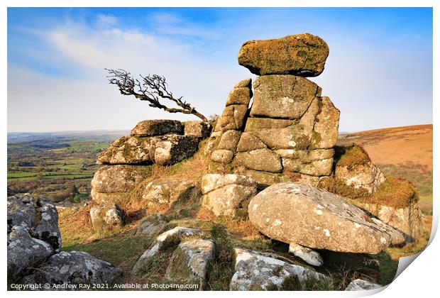 Chinkwell Tor (Dartmoor) Print by Andrew Ray