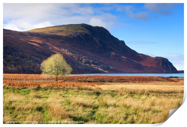 Morning at Ennerdale Print by Andrew Ray
