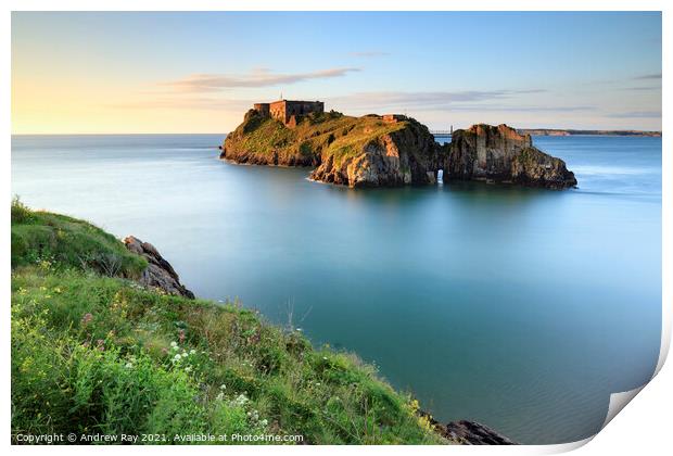 Cliff View (St Catherines's Island, Tenby)  Print by Andrew Ray