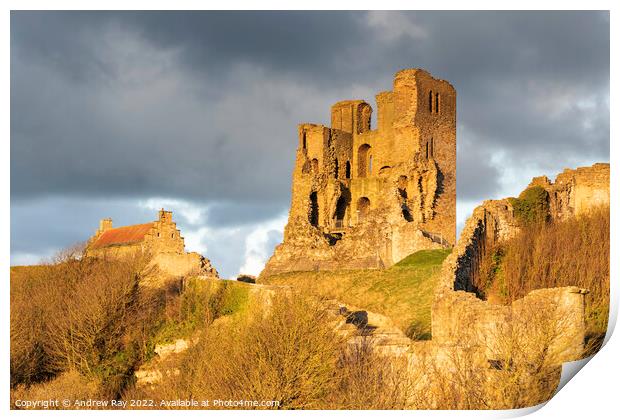 Evening light on Scarborough Castle Print by Andrew Ray