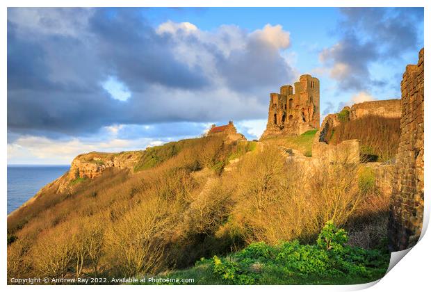 Late light on Scarborough Castle Print by Andrew Ray