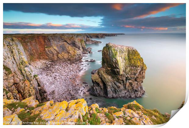 Sea stack at Castlemartin Print by Andrew Ray