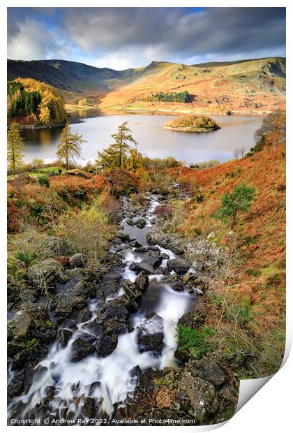 Autumn at Haweswater  Print by Andrew Ray