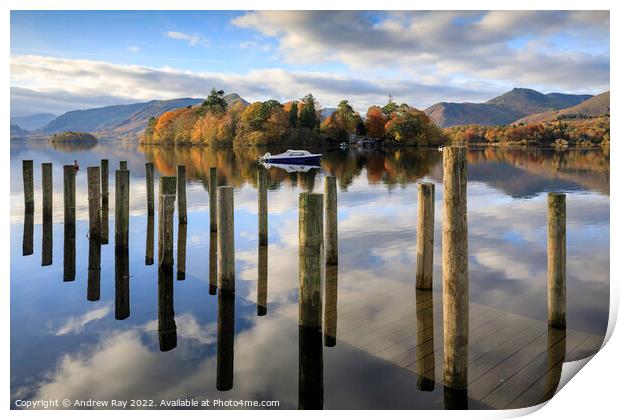 Submerged boardwalk (Derwentwater) Print by Andrew Ray