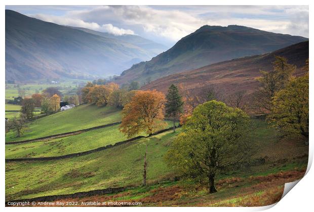 Autumn trees (St Johns in the Vale)  Print by Andrew Ray