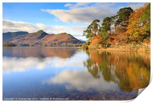 Friar's Crag and Cat Bells  Print by Andrew Ray