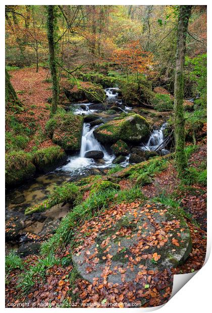 Autumn at Kennall Vale Millstone Print by Andrew Ray