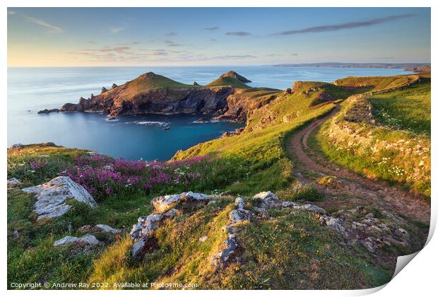 Evening light (The Rumps) Print by Andrew Ray