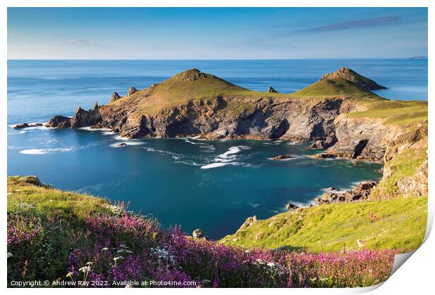 Spring at The Rumps Print by Andrew Ray