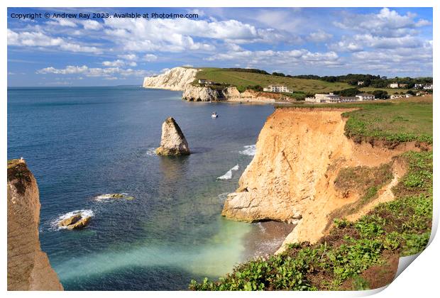 Morning at Freshwater Bay Print by Andrew Ray