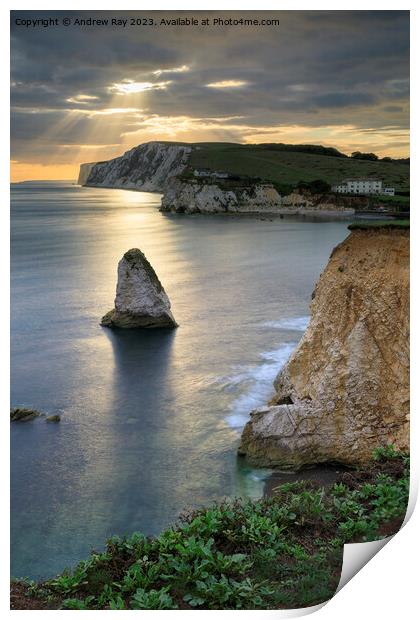 Shafts of light over Freshwater Bay Print by Andrew Ray