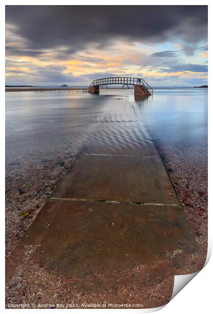 Path to Bridge to Nowhere (Belhaven) Print by Andrew Ray