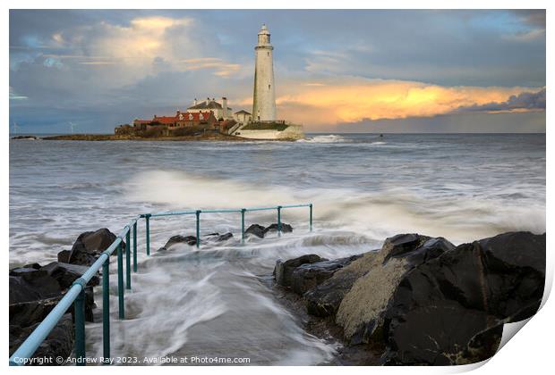 Evening at St Mary's Lighthouse Print by Andrew Ray
