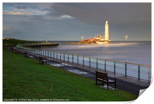 St Mary's Lighthouse view. Print by Andrew Ray