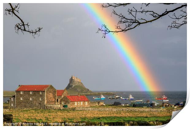 Rainbow over Lindisfarne Castle Print by Andrew Ray