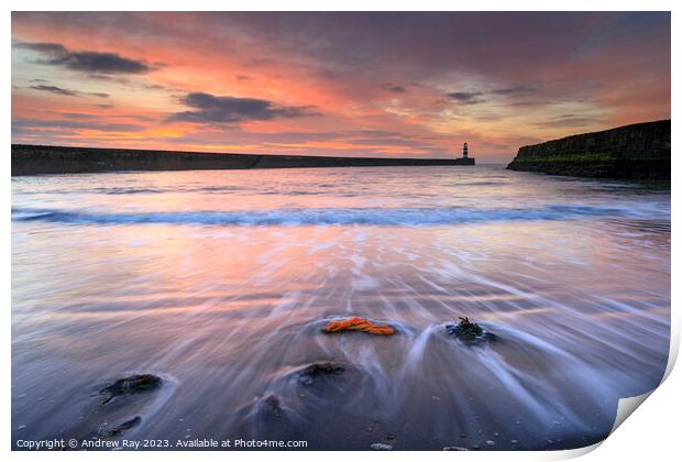 Seaham sunrise Print by Andrew Ray