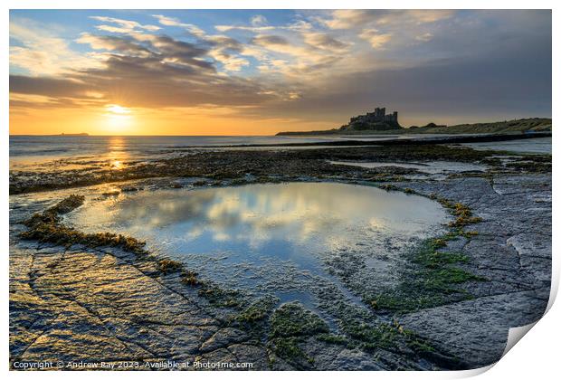Morning reflections (Bamburgh Castle) Print by Andrew Ray