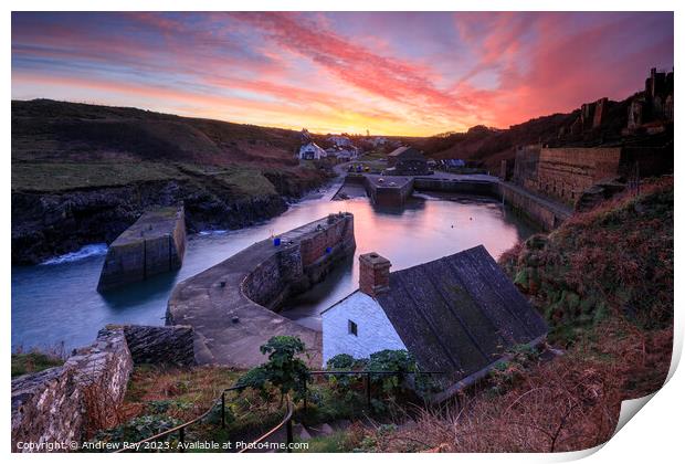Porthgain sunrise  Print by Andrew Ray