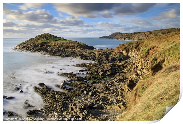 Headland in Whitesands Bay  Print by Andrew Ray