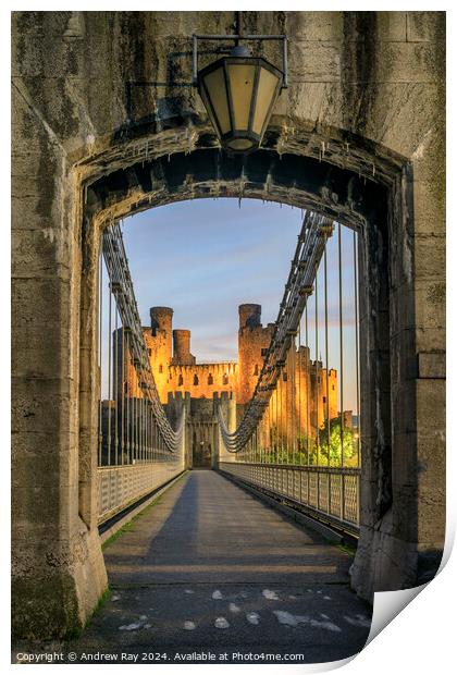 Conwy Castle Arch  Print by Andrew Ray