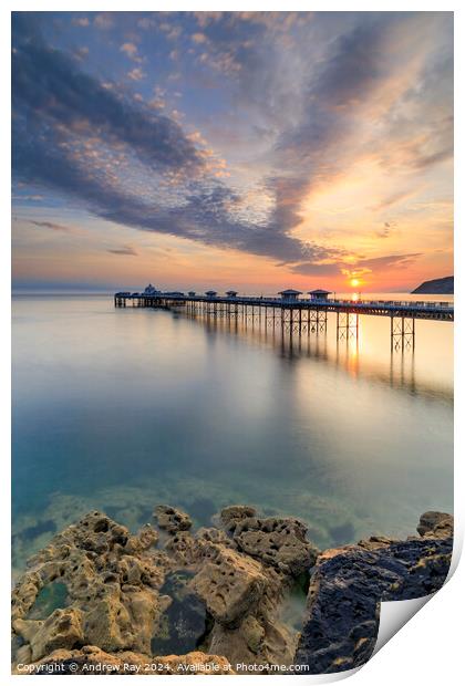 Towards Llandudno Pier  Print by Andrew Ray