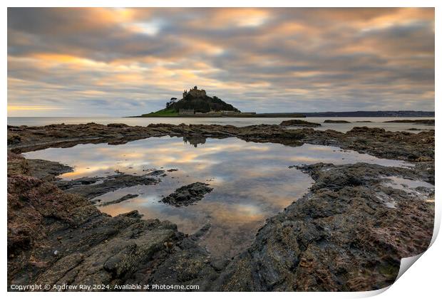 Rock Pool (St Michael's Mount) Print by Andrew Ray