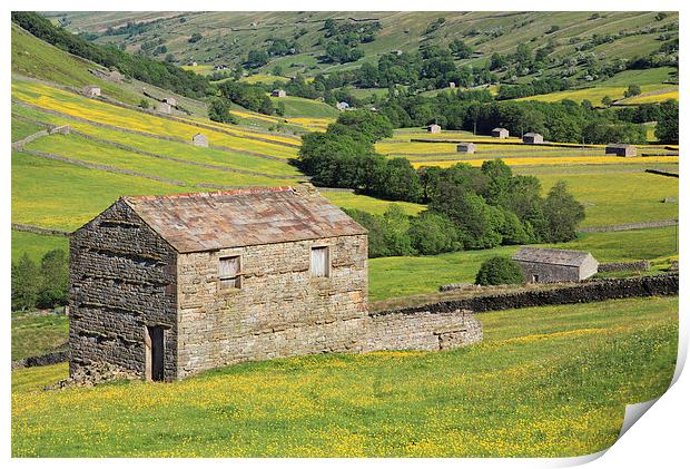 Barns in Swaledale Print by Andrew Ray