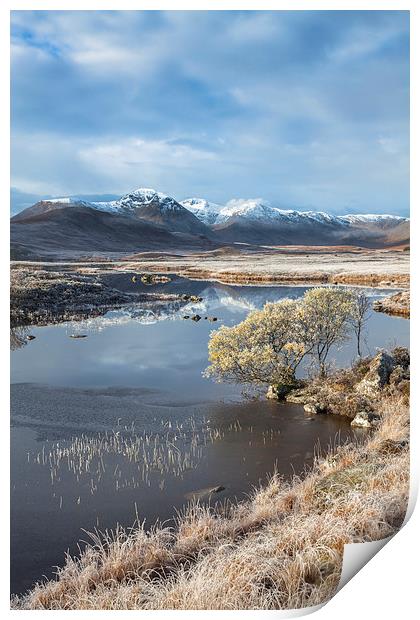 Frosty Morning on Rannoch Moor Print by Andrew Ray
